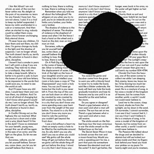 Pallett, Owen – In Conflict (1LP Vinyl)