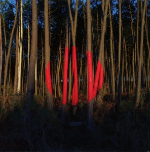 Francois & the Atlas Mountains – Piano Ombre (1CD)