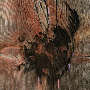Avey Tare's Slasher Flicks – Enter the Slasher House (2LP Vinyl)