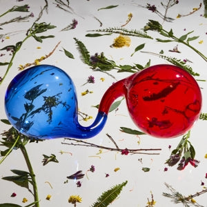 Dirty Projectors – Lamp Lit Prose (1LP Vinyl)