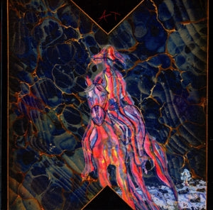 Avey Tare – Cows On Hourglass Pond cd