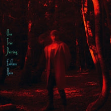 One True Pairing – Endless Rain cd