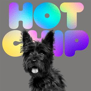 Hot Chip – A Long Way From Kansas (1 CD)