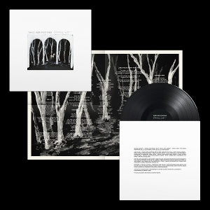 These New Puritans – Crooked Wing (1LP Vinyl)
