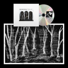 These New Puritans – Crooked Wing cd