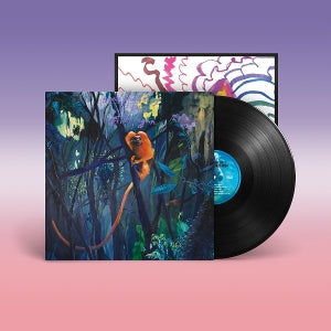 Bonnie Prince Billy – We Are Together Again (1LP Vinyl)