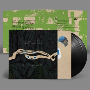 Animal Collective – Spirit They're Gone, Spirit They've Vanished vinyl
