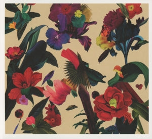 Washed Out – Paracosm (1CD)