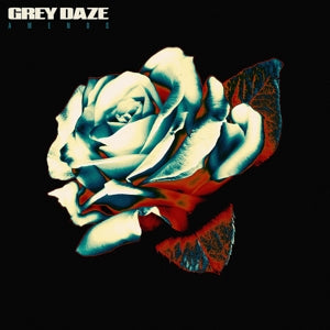 Grey Daze – Amends (2LP, Coloured Vinyl, Boxset)