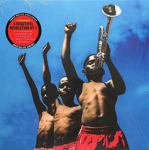 Common – A Beautiful Revolution: Part 1 vinyl