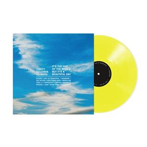 Thirty Seconds To Mars – It's the End of the World But It's a Beautiful Day vinyl