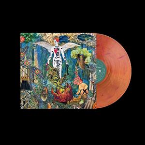 Revivalists – Pour It Into the Night vinyl