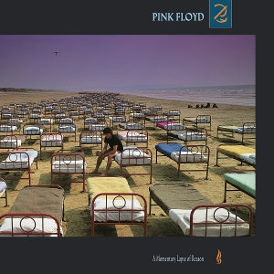 PINK FLOYD – A Momentary Lapse of Reason (1LP Vinyl, Reissue)