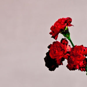 John Legend – Love In the Future (1 CD)