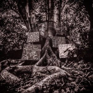 Washington, Kamasi – Harmony of Difference (1LP Vinyl)