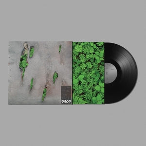 Koreless – Agor (1LP Vinyl)