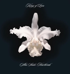 Kings of Leon – Aha Shake Heartbreak vinyl