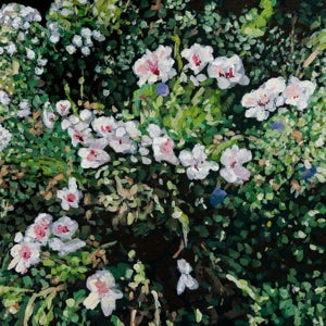 Locke, Jess – Don't Ask Yourself Why (1LP Vinyl)