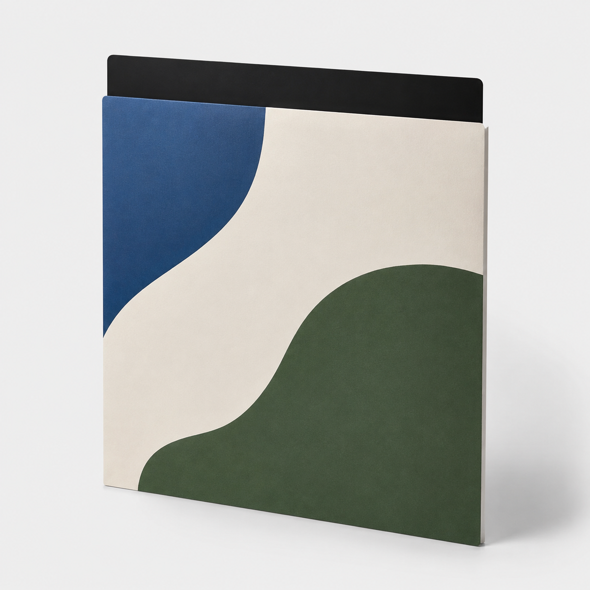 Zwarte vinyl divider achter een standaard platenhoes