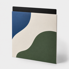 Zwarte vinyl divider achter een standaard platenhoes